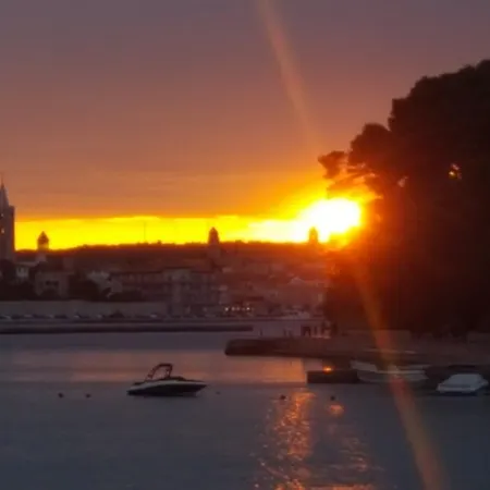 Stengl * Barbat na Rabu